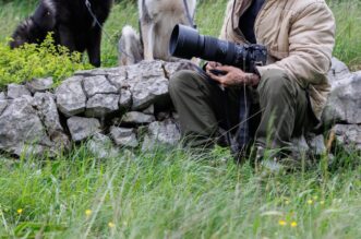 Donje Jelenje: Amir Hadžibeganović čovjek koji razgovara s vukovima Donje Jelenje: Amir Hadžibeganović čovjek koji razgovara s vukovima