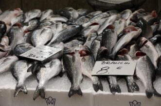 Rijeka: Bogata ponuda ribe na riječkoj ribarnici