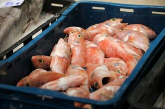 Rijeka: Bogata ponuda ribe na rije?koj ribarnici