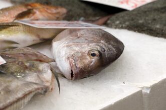 Rijeka: Bogata ponuda ribe na riječkoj ribarnici