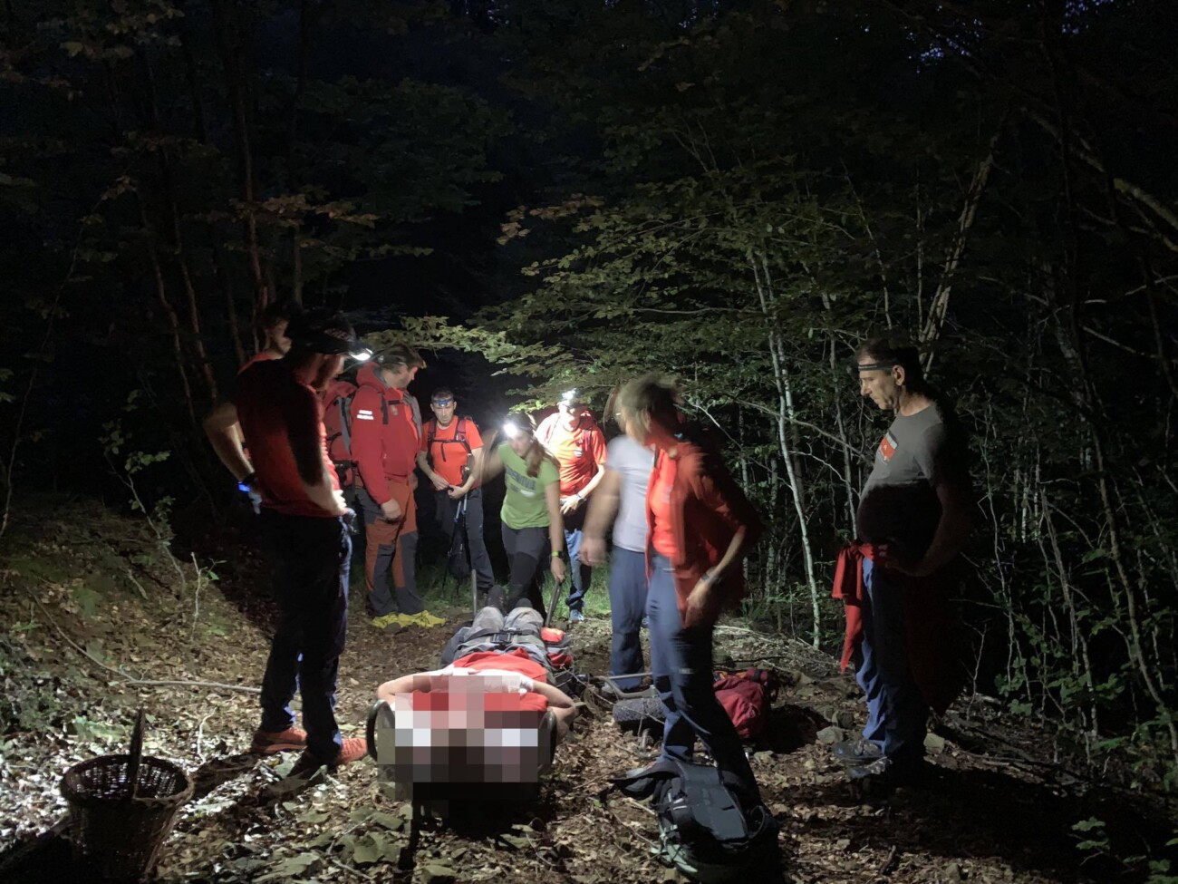 hgss gljivar (7)