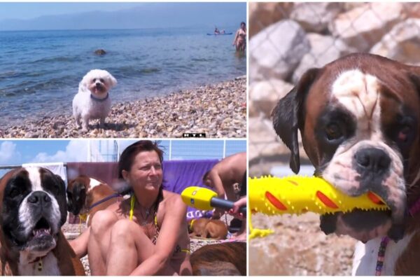 pseća plaža kantrida 2024 rtl