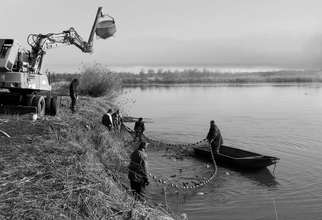 Biljana-Latinović-Izlov-ribe-Prnjavor-BiH-Fotoklub-Šimanovci Biljana-Latinović-Izlov-ribe-Prnjavor-BiH-Fotoklub-Šimanovci