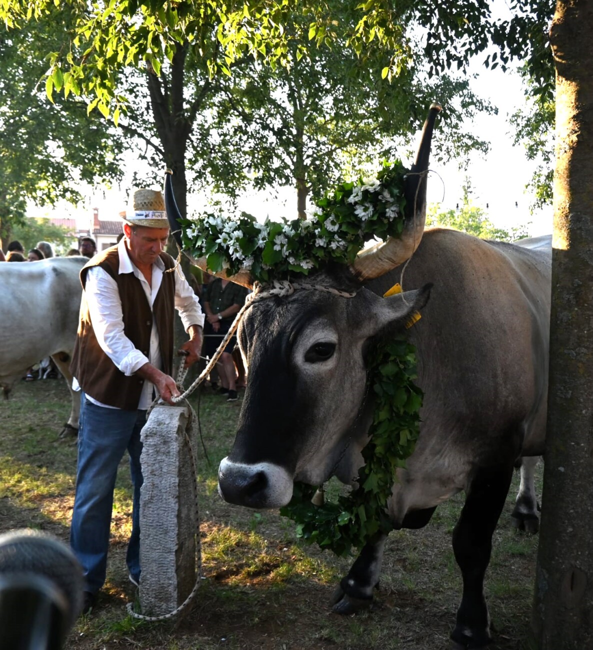 Najljepši