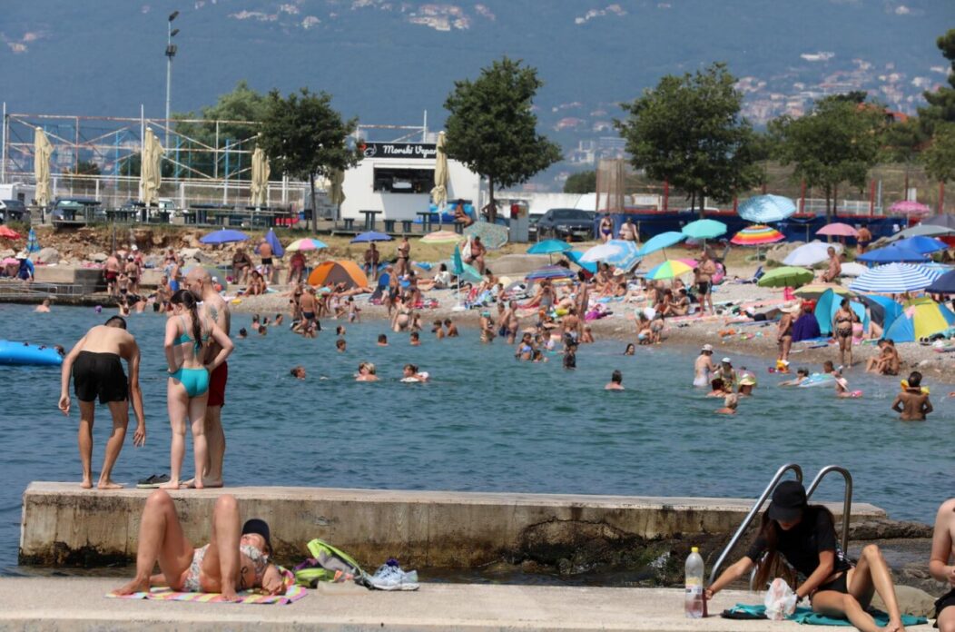 Rijeka: Mravinjak na plai pod stadionom na Kantridi Rijeka: Mravinjak na plai pod stadionom na Kantridi