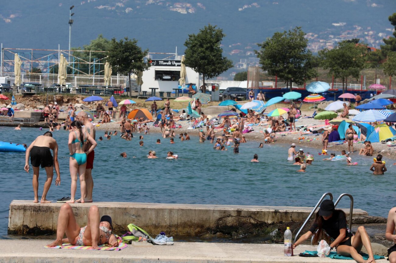 Rijeka: Mravinjak na plai pod stadionom na Kantridi Rijeka: Mravinjak na plai pod stadionom na Kantridi
