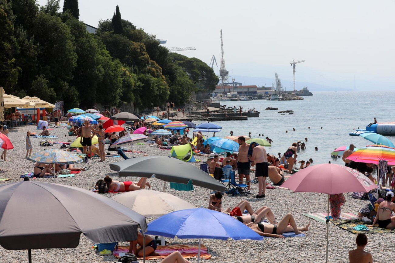 Rijeka: Mravinjak na plaži pod stadionom na Kantridi Rijeka: Mravinjak na plaži pod stadionom na Kantridi
