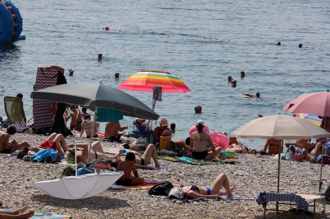 Rijeka: Mravinjak na plaži pod stadionom na Kantridi Rijeka: Mravinjak na plaži pod stadionom na Kantridi