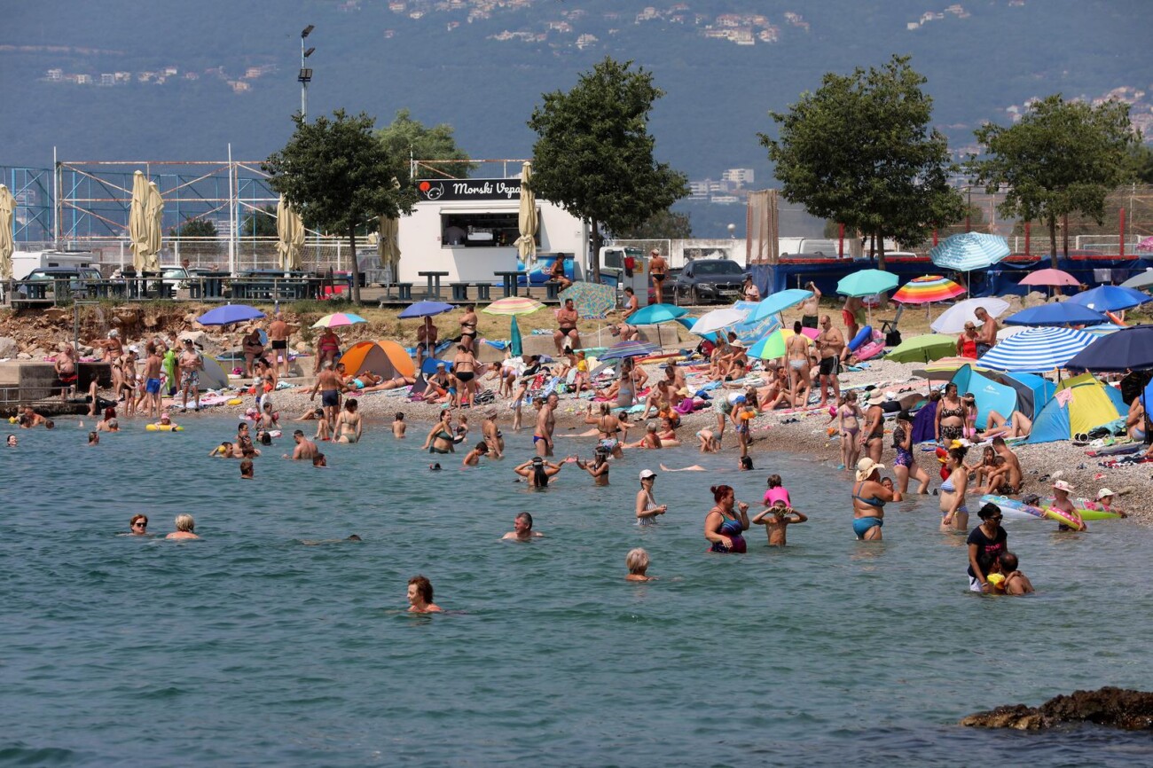 Rijeka: Mravinjak na plai pod stadionom na Kantridi Rijeka: Mravinjak na plai pod stadionom na Kantridi