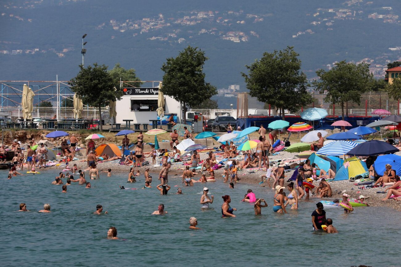 Rijeka: Mravinjak na plaži pod stadionom na Kantridi Rijeka: Mravinjak na plaži pod stadionom na Kantridi