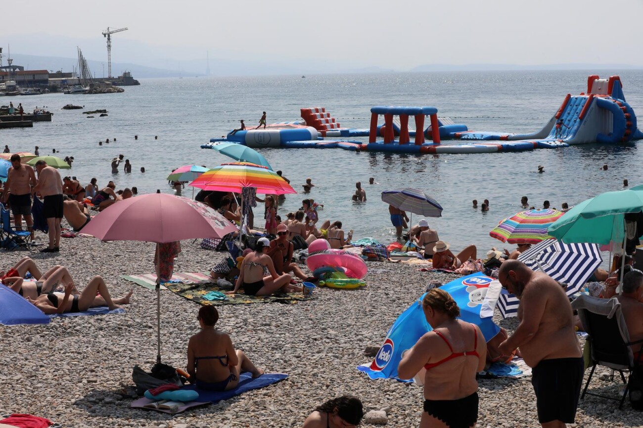 Rijeka: Mravinjak na plaži pod stadionom na Kantridi Rijeka: Mravinjak na plaži pod stadionom na Kantridi
