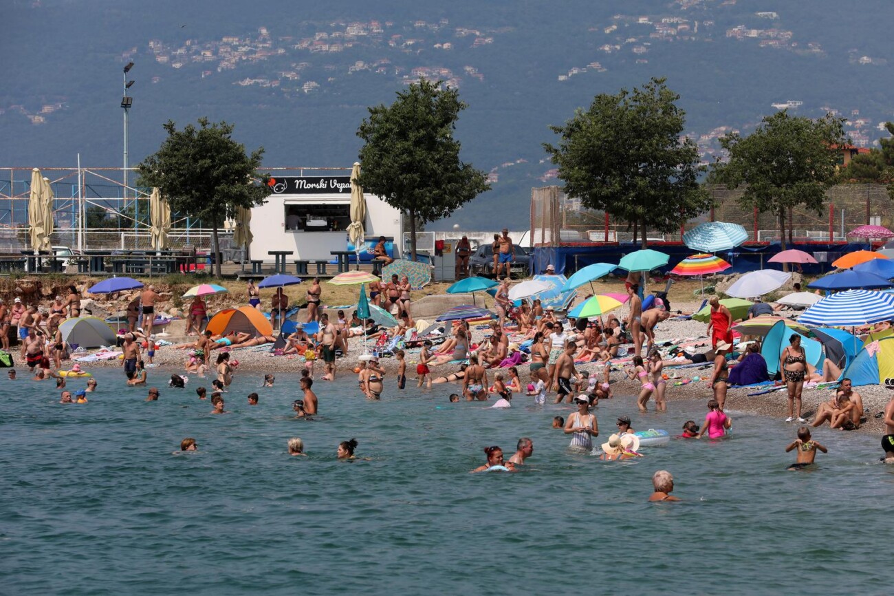 Rijeka: Mravinjak na plaži pod stadionom na Kantridi Rijeka: Mravinjak na plaži pod stadionom na Kantridi