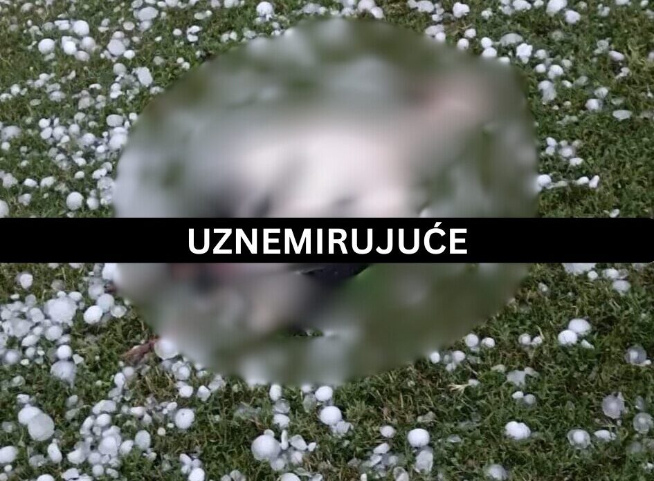 UZNEMIRUJUĆE (1) UZNEMIRUJUĆE (1)