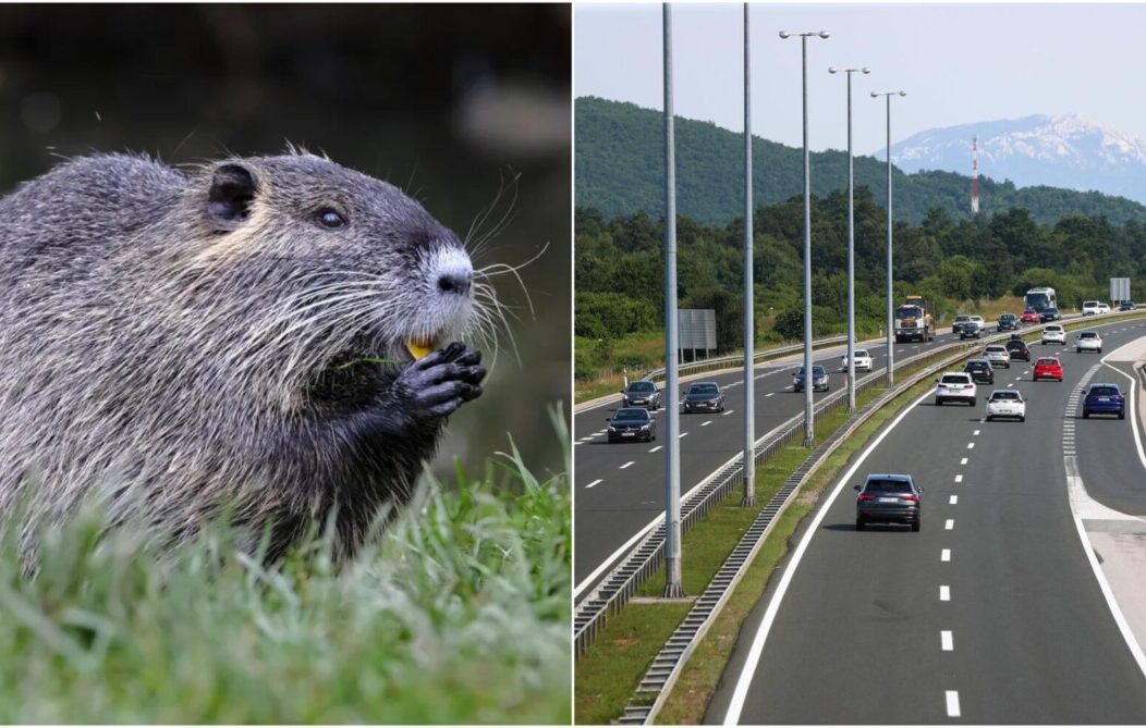 dabar autocesta NASLOVNA dabar autocesta NASLOVNA