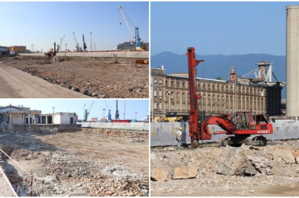 zapadna žabica 030724