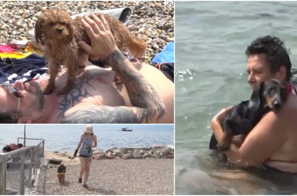 kantrida plaža za pse kanal ri