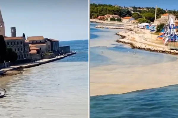 poreč nakupina