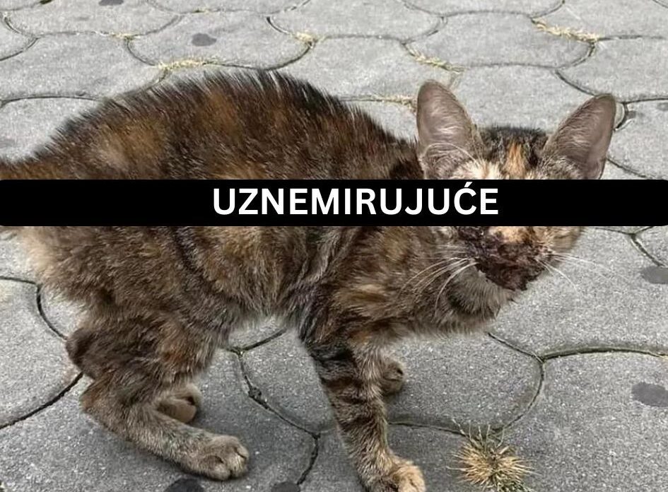 2 2