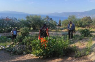 Čišćenje-i-uređenje-zelene-površine-na-kraju-Dražičke-ulice Čišćenje-i-uređenje-zelene-površine-na-kraju-Dražičke-ulice