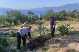 Na-kraju-Dražičke-ulice-posađen-je-i-novi-oleandar Na-kraju-Dražičke-ulice-posađen-je-i-novi-oleandar