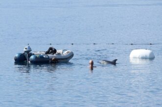 RIjeka: Plivač i ronioc kupaju se u društvu dupina RIjeka: Plivač i ronioc kupaju se u društvu dupina