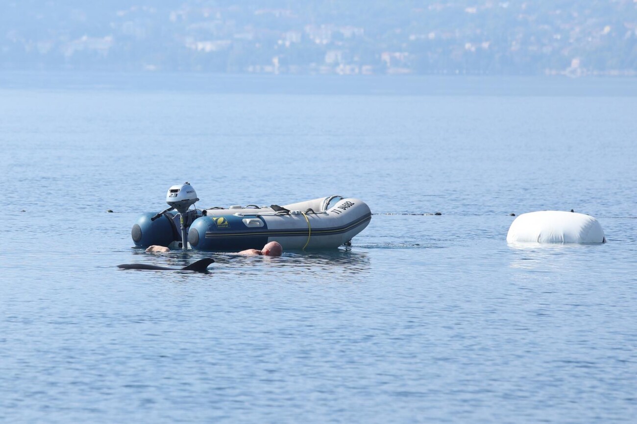 RIjeka: Plivač i ronioc kupaju se u društvu dupina RIjeka: Plivač i ronioc kupaju se u društvu dupina
