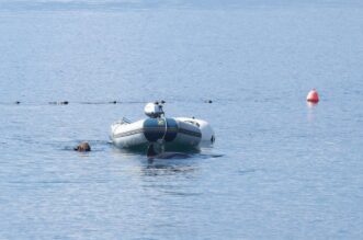 RIjeka: Plivač i ronioc kupaju se u društvu dupina RIjeka: Plivač i ronioc kupaju se u društvu dupina