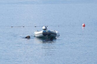 RIjeka: Plivač i ronioc kupaju se u društvu dupina RIjeka: Plivač i ronioc kupaju se u društvu dupina