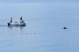 RIjeka: Plivač i ronioc kupaju se u društvu dupina RIjeka: Plivač i ronioc kupaju se u društvu dupina