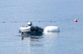 RIjeka: Plivač i ronioc kupaju se u društvu dupina RIjeka: Plivač i ronioc kupaju se u društvu dupina
