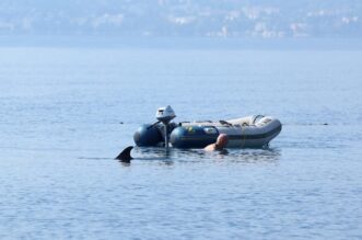 RIjeka: Plivač i ronioc kupaju se u društvu dupina RIjeka: Plivač i ronioc kupaju se u društvu dupina