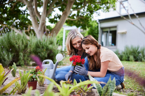 Grandma and her young granddaughter planting flowers together in a garden