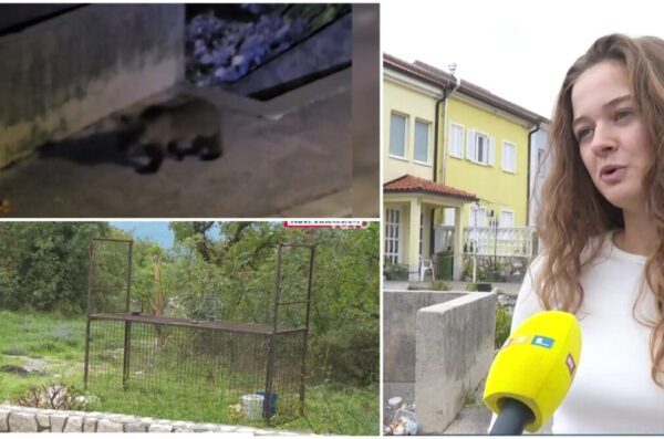 medo zamka novi rtl 2