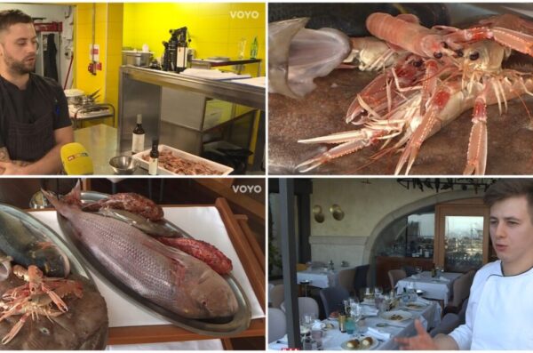 kvarner gastro škamp naslovna