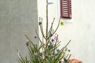 advent kastav (13) advent kastav (13)