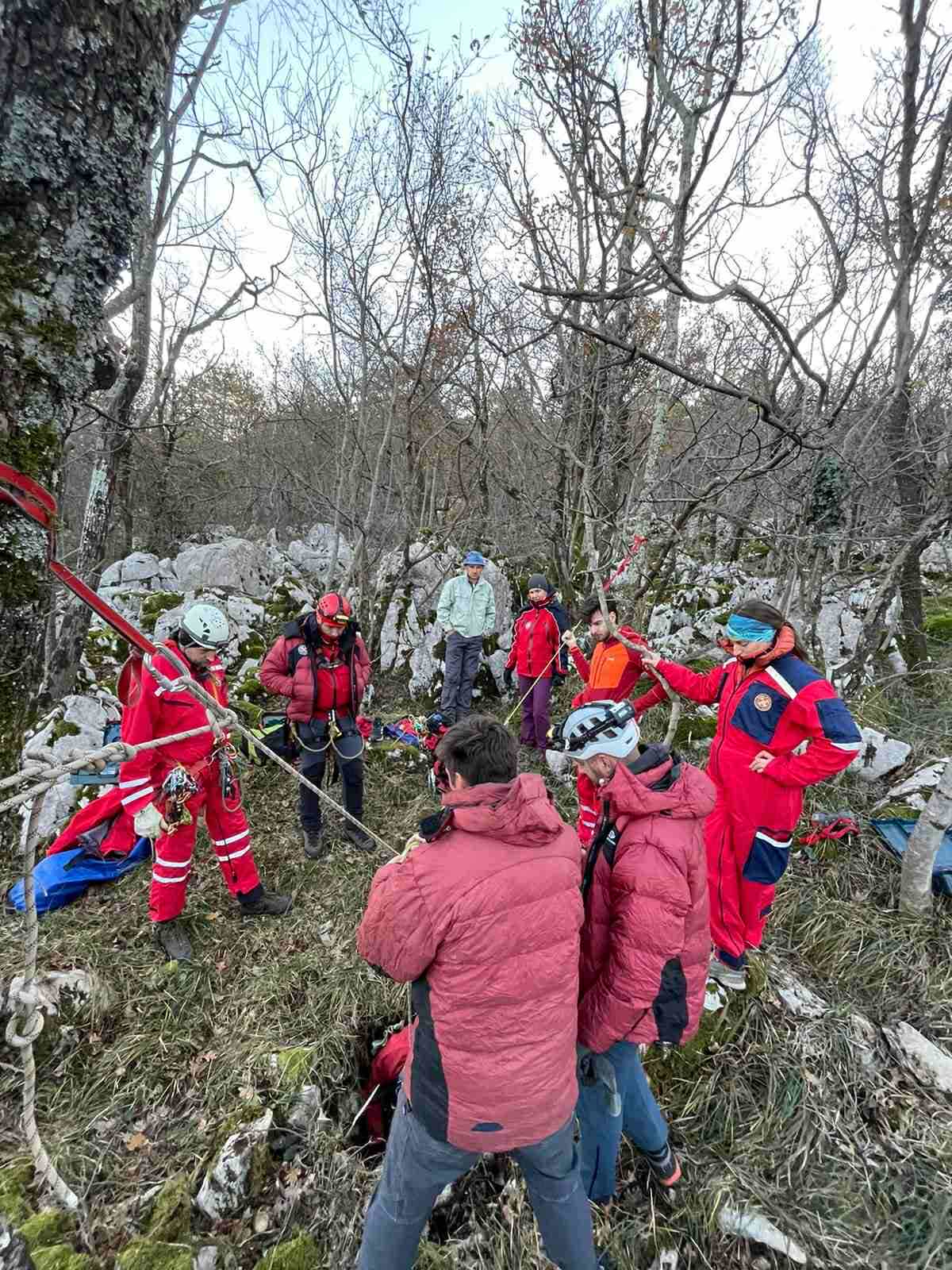 pas podkilavac (7) pas podkilavac (7)