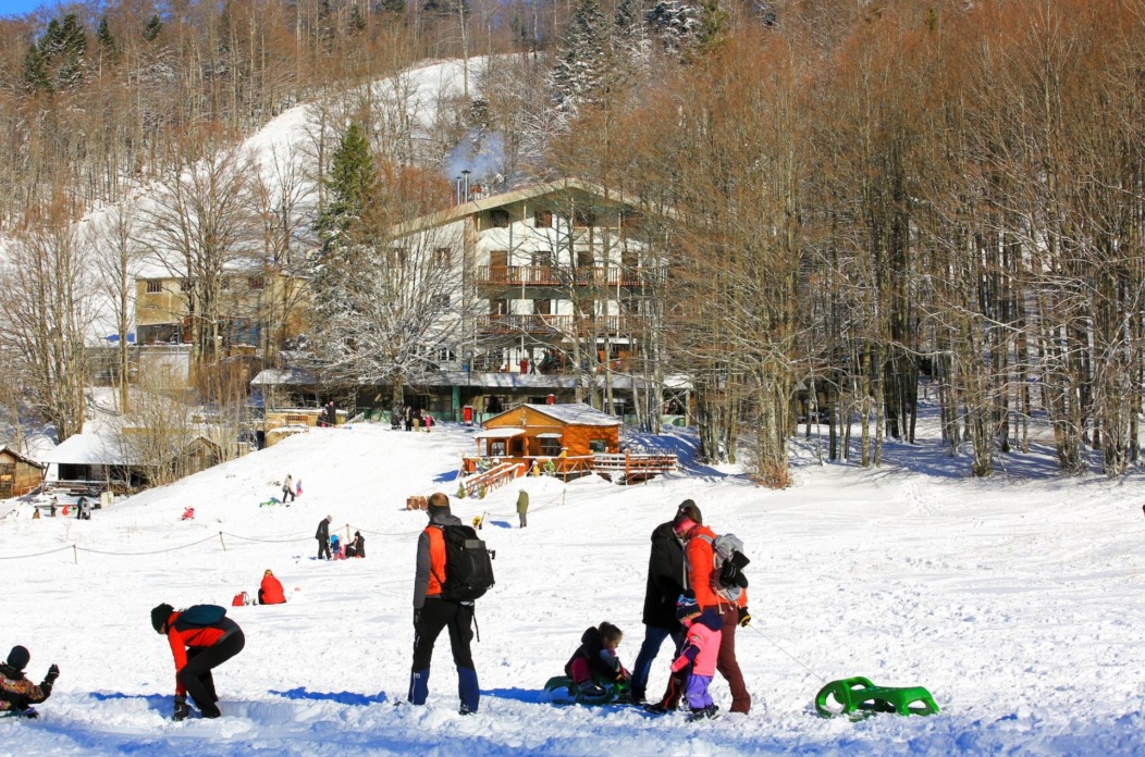 platak-2024 platak-2024