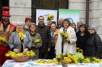 18.-Dan-mimoza-2