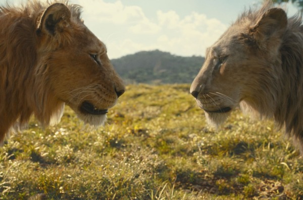 MUFASA KRALJ LAVOVA