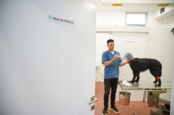 Bojan Lukač, veterinar iz Prijedora spasio je psa s ulice koji je pogođen vatrenim oružjem u glavu
