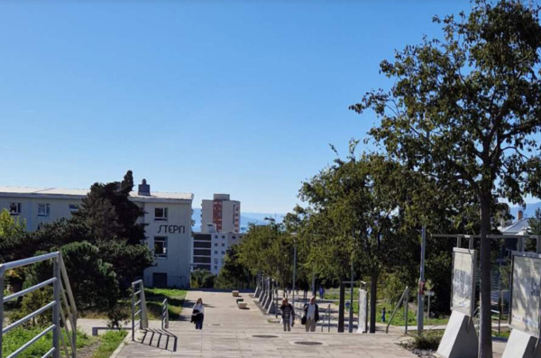 stepri uniri