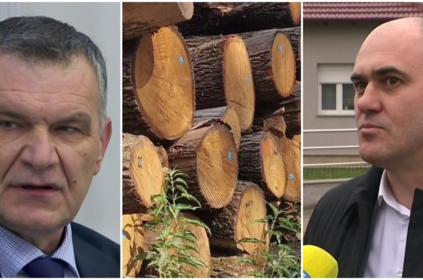 dujić hr šume dabro rtl