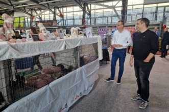 Medunarodna-izlozba-macaka-u-Atletskoj-dvorani-11 Medunarodna-izlozba-macaka-u-Atletskoj-dvorani-11