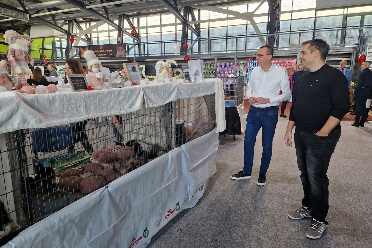 Medunarodna-izlozba-macaka-u-Atletskoj-dvorani-11 Medunarodna-izlozba-macaka-u-Atletskoj-dvorani-11
