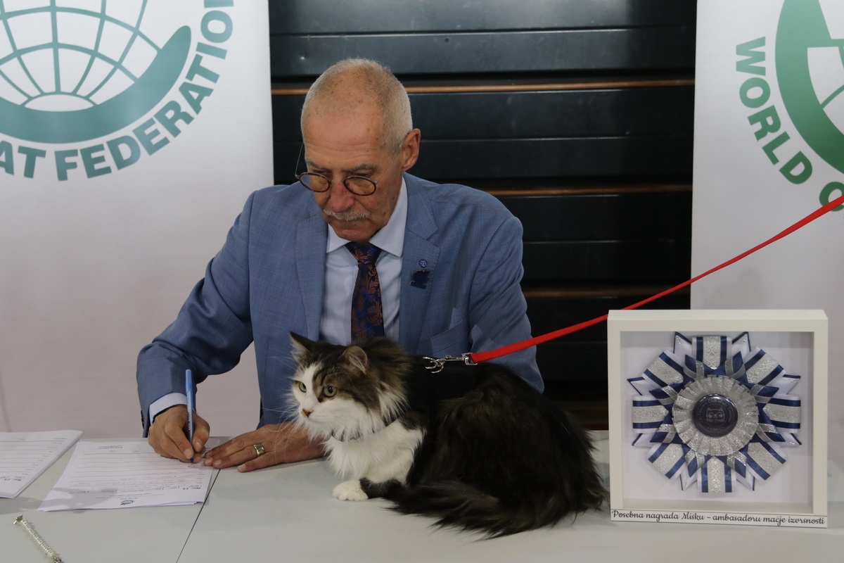 Medunarodna-izlozba-macaka-u-Atletskoj-dvorani-8 Medunarodna-izlozba-macaka-u-Atletskoj-dvorani-8