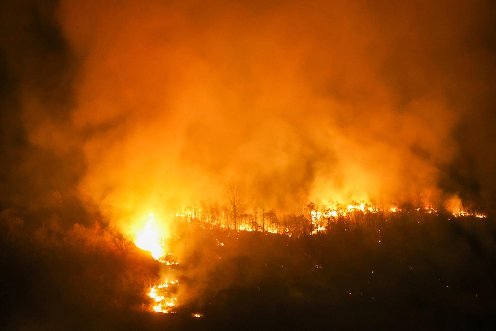 Požar koji je  poslijepodne izbio podno Učke sad je pod kontrolom