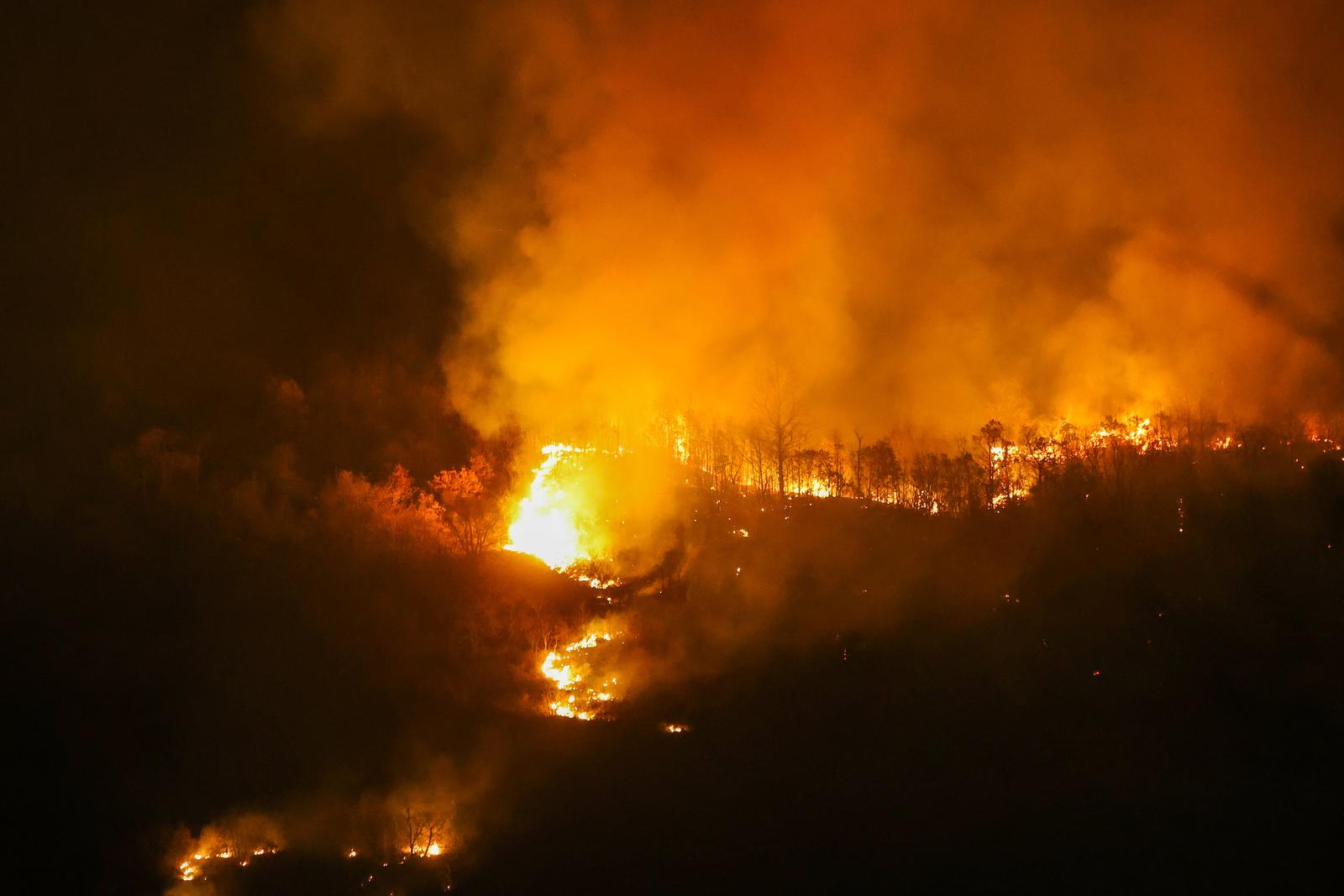 Požar koji je  poslijepodne izbio podno Učke sad je pod kontrolom