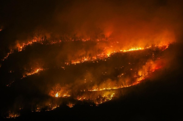 Požar koji je  poslijepodne izbio podno Učke sad je pod kontrolom