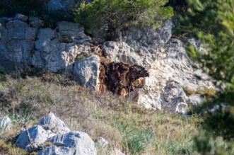 Stijena se odlomila i pala na kombi na magistrali kod Dubrovnika Stijena se odlomila i pala na kombi na magistrali kod Dubrovnika