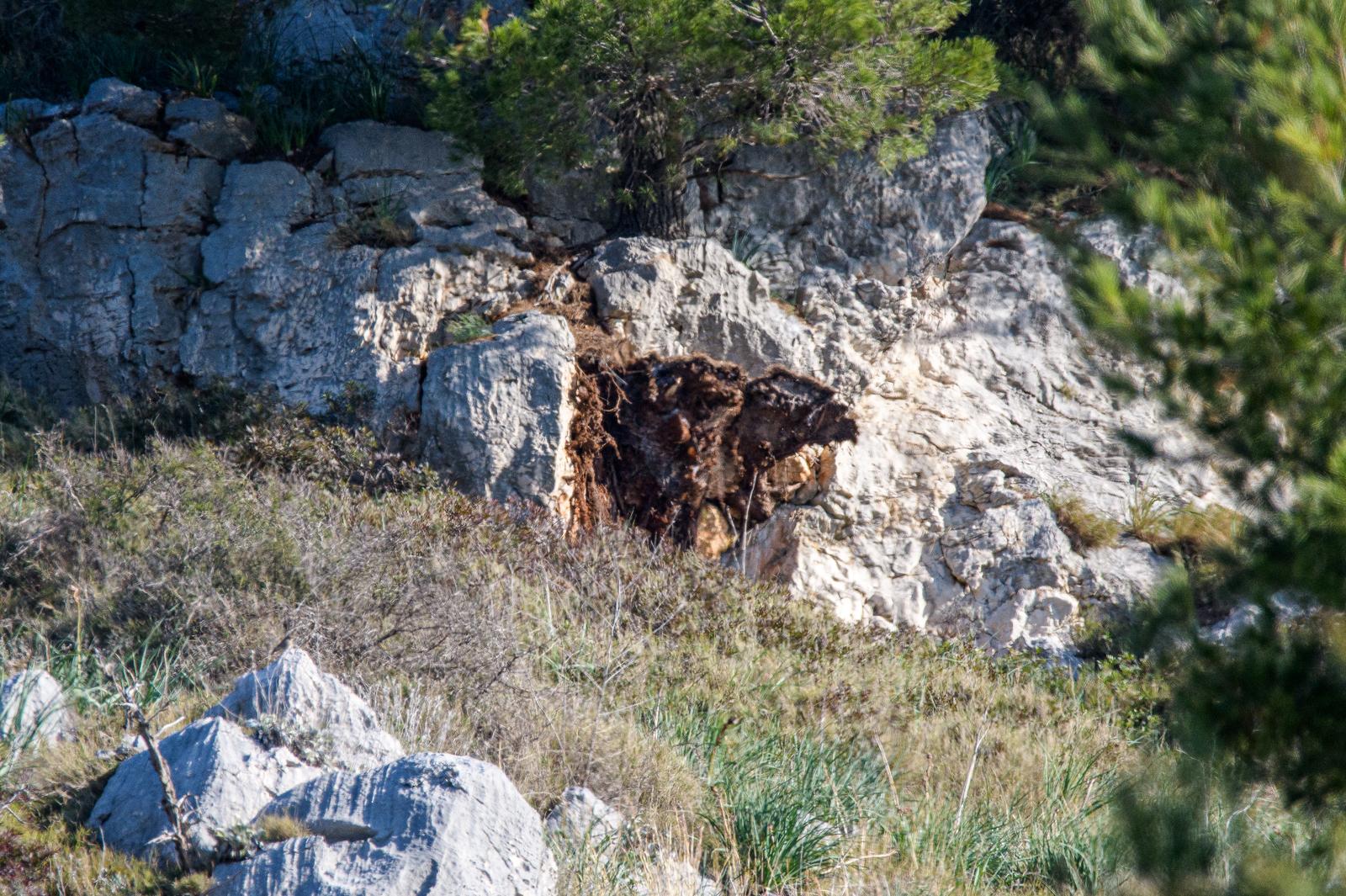 Stijena se odlomila i pala na kombi na magistrali kod Dubrovnika Stijena se odlomila i pala na kombi na magistrali kod Dubrovnika